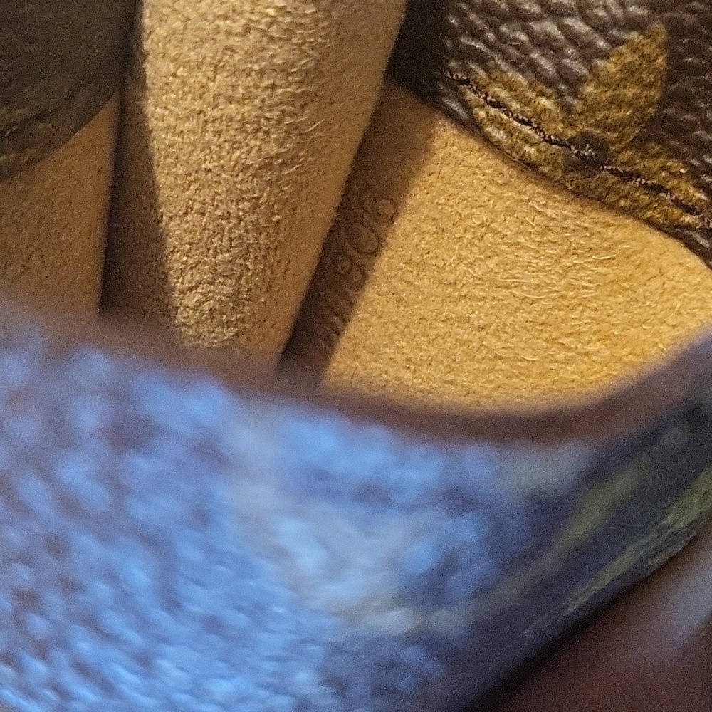 Louis Vuitton Case - image 8